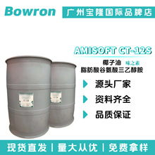 �ձ�ζ֮��AMISOFT CT-12S Ҭ����֬����Ȱ������Ҵ��� ���݄�
