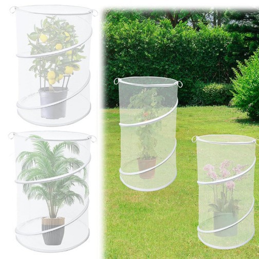 跨境庭院温室小花棚蔬菜家庭小棚免安装防虫罩飞鸟防护罩厂家直销