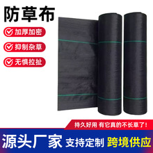外贸批发果园大棚抗老化地布 加厚耐用防草布透气透水抑草除草布
