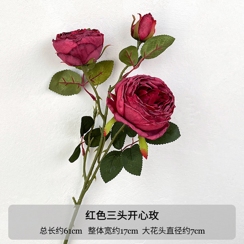 Rosa feliz vermelha de 3 cabeças