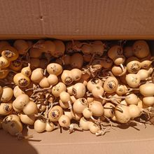 小葫芦木塞八卦图案龙头八卦图案聊城