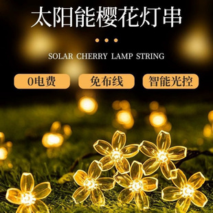 ���N̫���LED�ѻ��������ϲʟ��������@ͥԺ��ˮ�߲ʷՇ��b�
