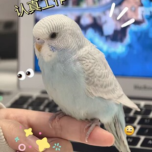 ���P�W�^С�B녰߻��w�����B�fԒ��Ƥ�B�����B�H�����r�µ���ֳ