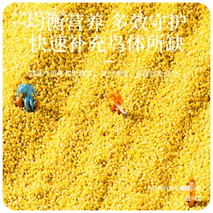 �S�ҵ�С���u�����W�^��ֳ����Bʳ�o���S��С�״��M�ȱ����Pĵ��