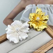 �羳���N�p�ݸ߼����w�н��ٻ���~��Ƥ����q�����ֿp���������