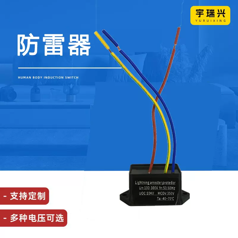 夏天防雷器led浪涌保护器10KV街道路灯防雷器避雷器照明防