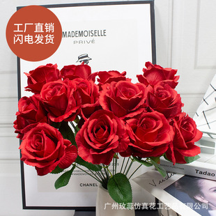 �¿�9�^ë��õ�� Ψ����c�����廨���滨��܇�b���õ�廨���l