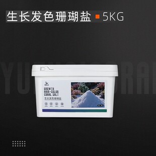 ���� ���}ɺ���}���L�l����ܛ�wӲ�Ǻ�ˮС���~�^�p�~�����}