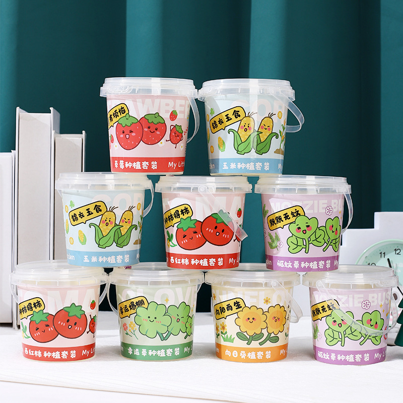 Children Plant Small Potted Sunflowers, Strawberry Plants, Vegetables, Students Grow and Observe Green Plants, Mini Seed Box Children Plant Small Potted Sunflowers, Strawberry Plants, Vegetables, Students Grow and Observe Green Plants, Mini Seed Box