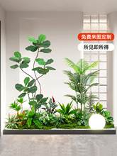 �پGֲ�쾰���^�M�ϸ�Ʒ�|����ֲ��������b���������Է�����