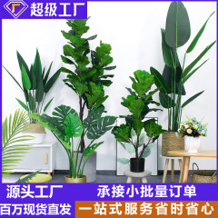 シミュレーション植物旅人バナナ盆栽北欧大型装飾木散尾葵盆栽室内客間着地偽緑植