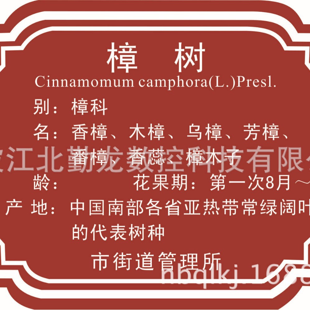 花草树牌亚克力植物绿化标识挂牌树木介绍挂牌树木标识牌