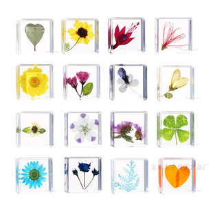 �Z�Ṥˇ�挍ֲ��˱����~�ݻ�����ս̌W���նYƷ��֬�[����ˇƷ