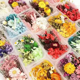 鲜花花艺制品;干花;永生花