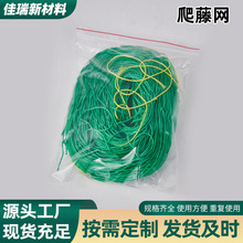 爬藤网跨境植物爬藤网绿色园艺网花方格子网支架网菊花芹菜定植网