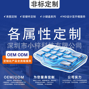 �ǘ��Զ��xС�I�POEM/ODM��D�����OӋUSB�f�h��X���÷ǘ�С�aƷ