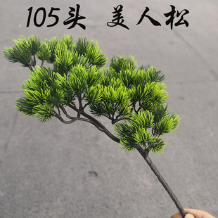 �_�h�������ɼ��~����ɘ��~������֦ģ���ɘ�֦�b��~����֦