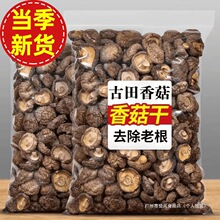 ���︣���㹽��؛�r��Ģ�����㹽���]�����b�o�����l�خa����