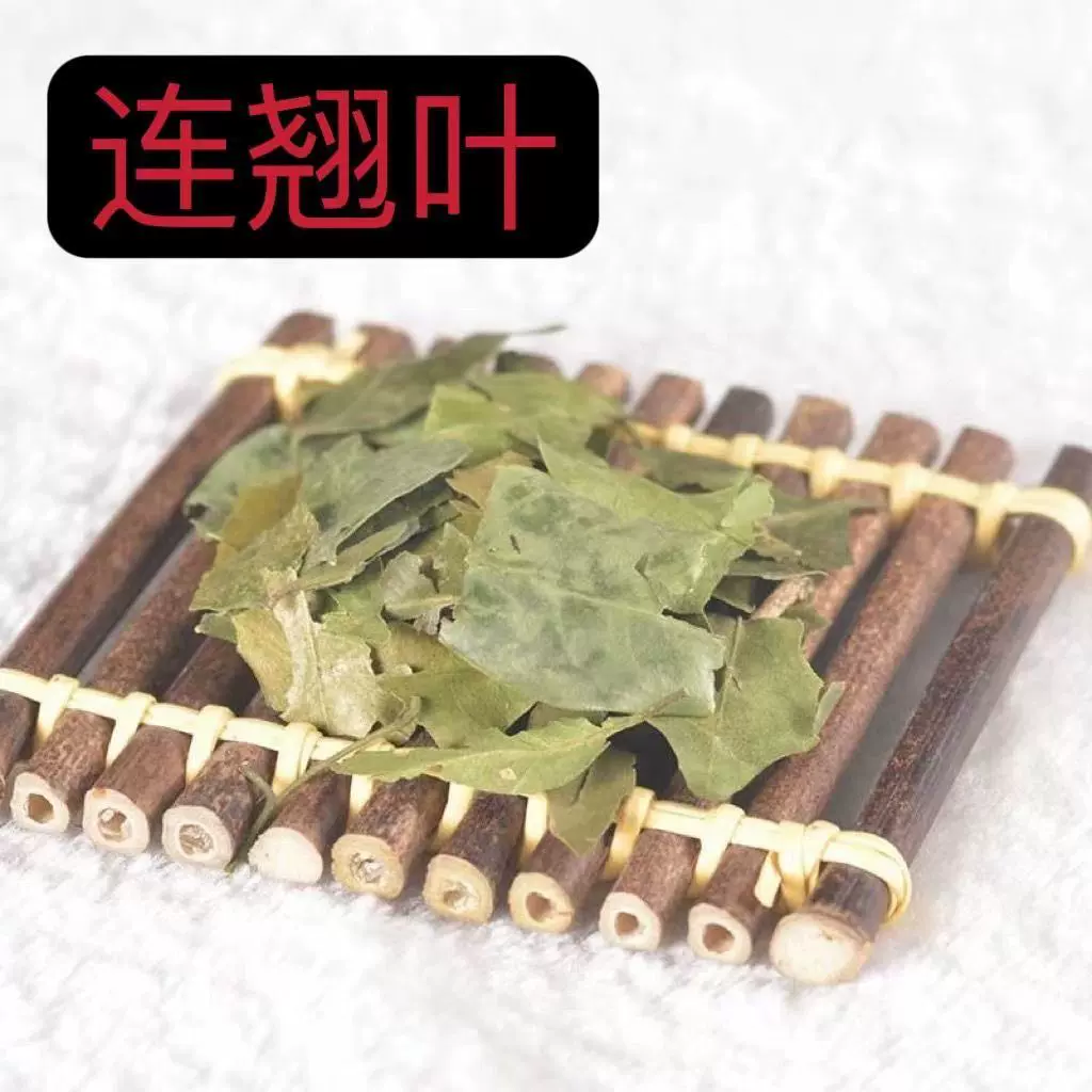 连翘叶新货 正宗无硫连翘叶500g 当季新货