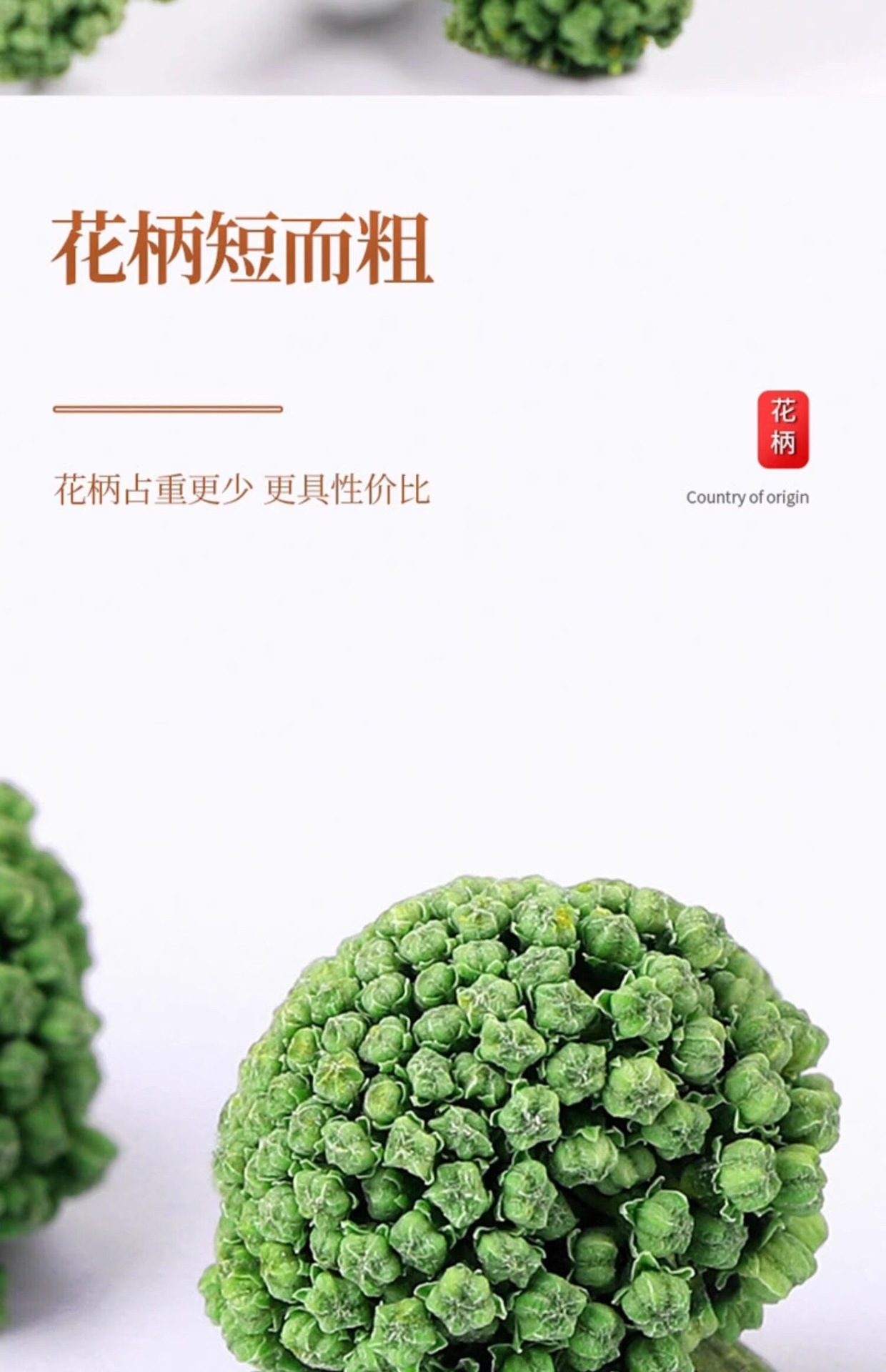 San Qi Flower Tea 500g Panax Notoginseng Buds Dried Tian Qi Hua Herbal Infusion in use