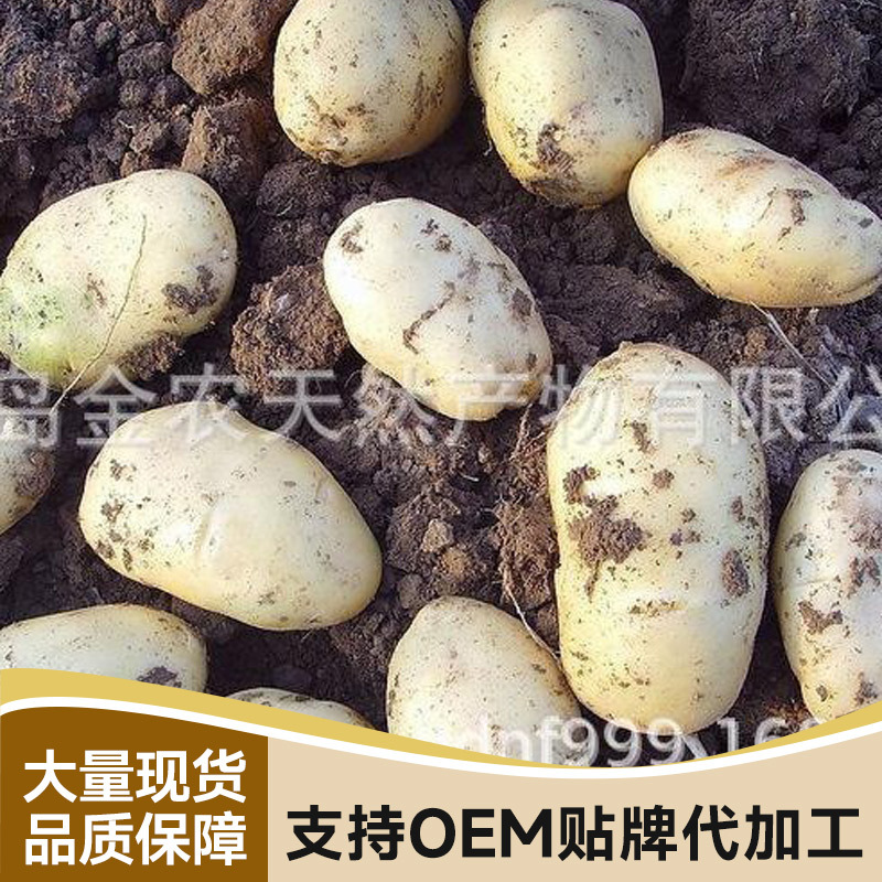 ����ֱ���컯������ѩ���� ����ѩ����ѩʳƷ��������۴���״̬