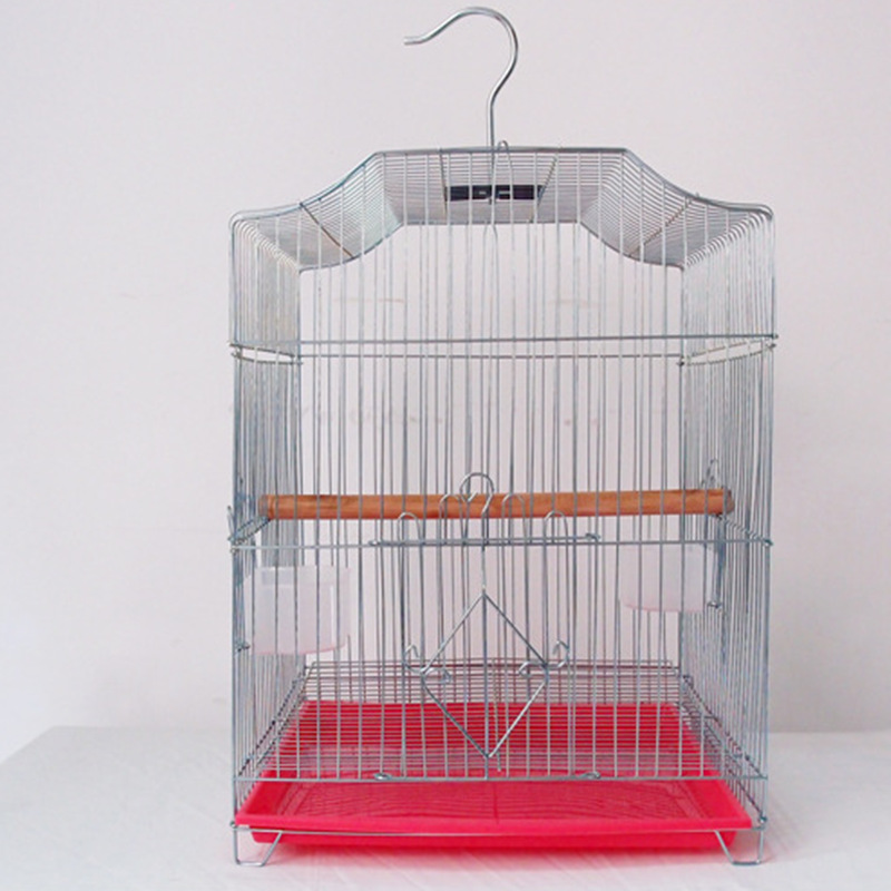 QQ图片20210228100749