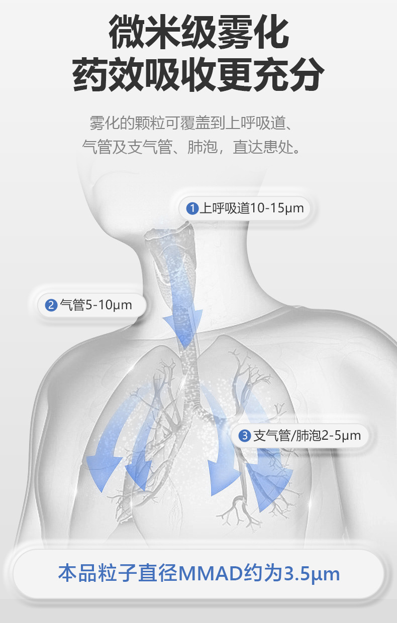 06888详情页_05.jpg