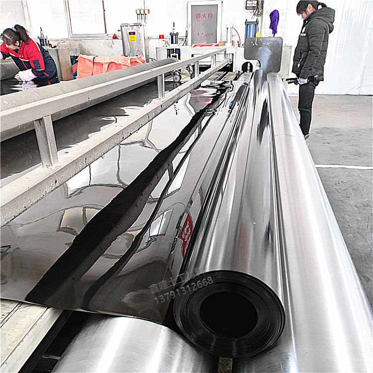 Aquatic film manufacturer direct selling black biogas tank geomolo…