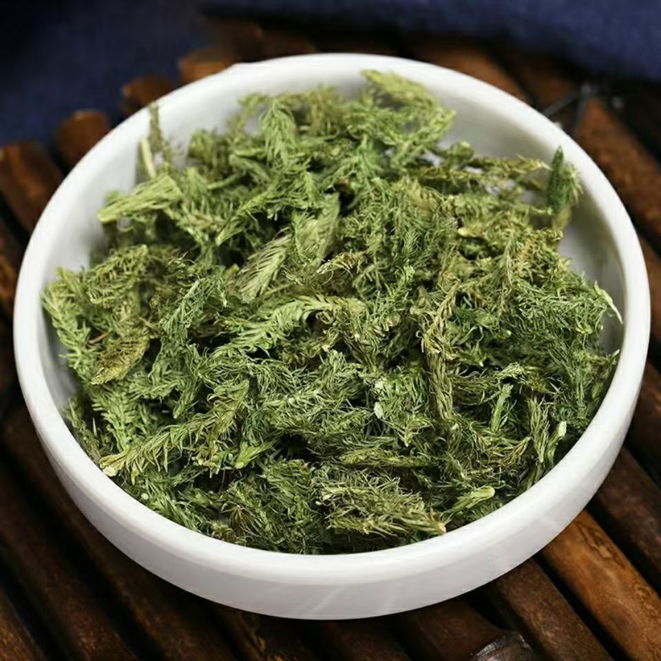 Shen Jin Cao Dried Clubmoss Whole Herb 500g Bulk Sichuan Origin Traditional TCM Ingredient quality and texture
