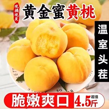 【现货】黄金蜜桃芒果桃新鲜孕妇水果时令当季脆桃包邮批发一整箱