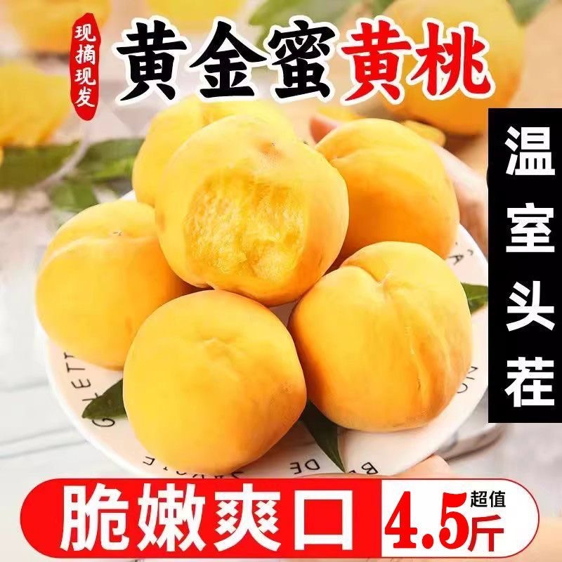 【现货】黄金蜜桃芒果桃新鲜孕妇水果时令当季脆桃包邮批发一整箱