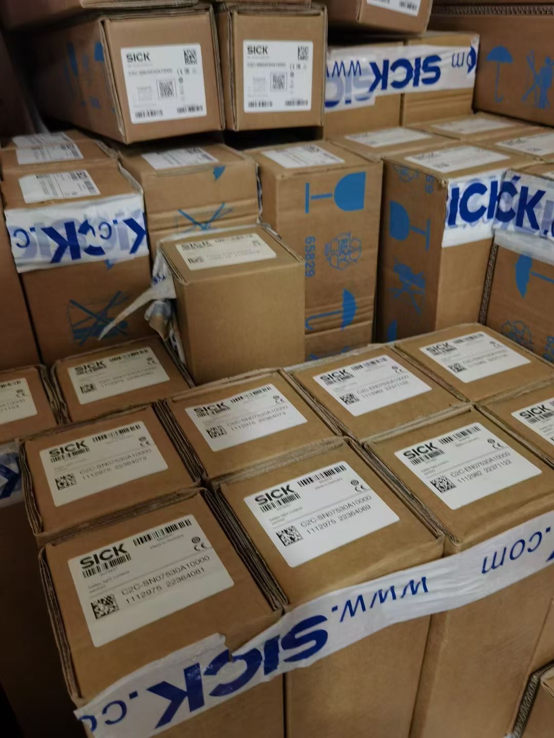 微信图片_20241224155951