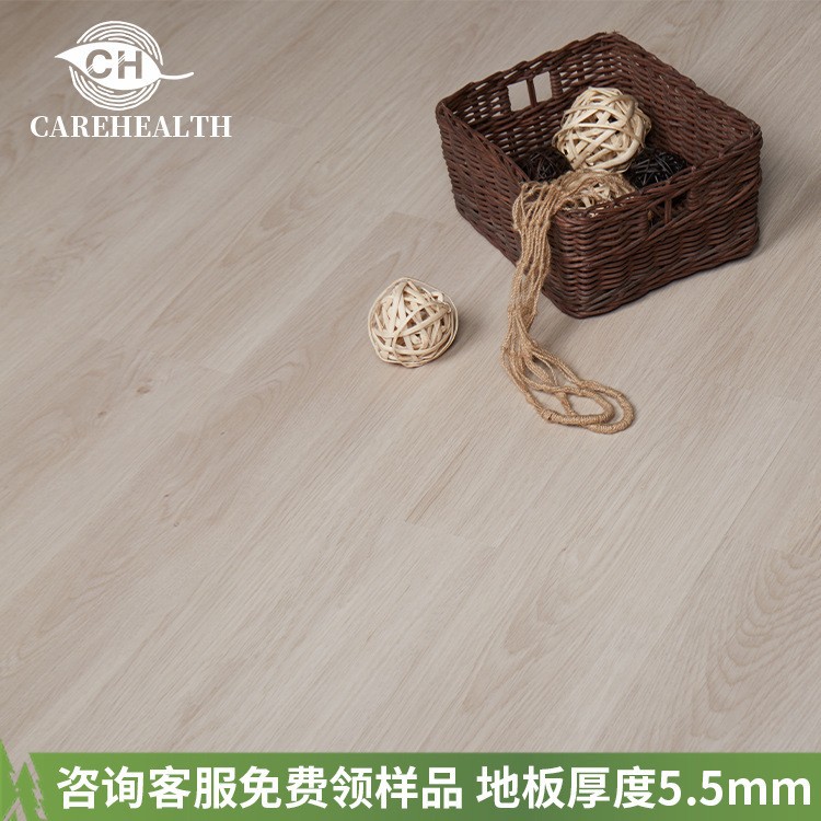 백설 공주 난초 (부드러운)