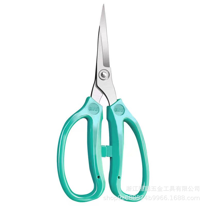 微信图片_20240526145748