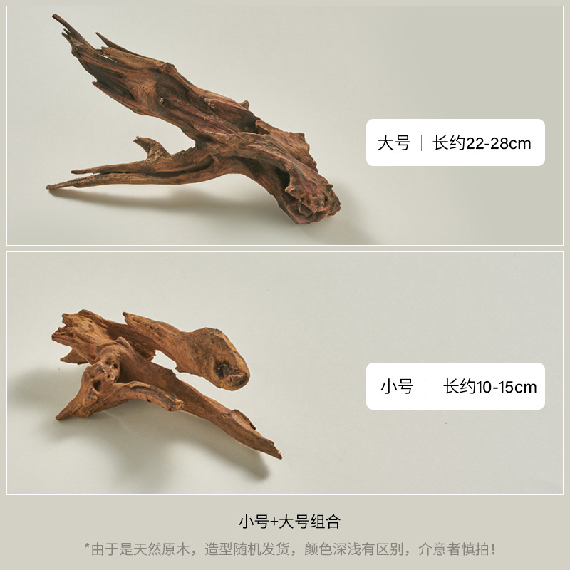 Maquillaje blanco original, geometría, accesorios fotográficos, pequeños adornos, cosméticos, bodegón, fotografía, decoración de tablero de fondo