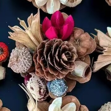 云南松塔真植物diy森系冰箱帖标本伴手礼家居墙面装饰品|undefined