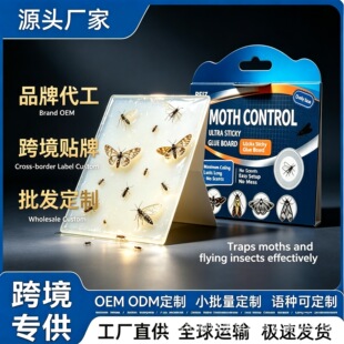 �羳���Q�w���T���������҃������w�������w��ճ��ճ�x�w���N���l