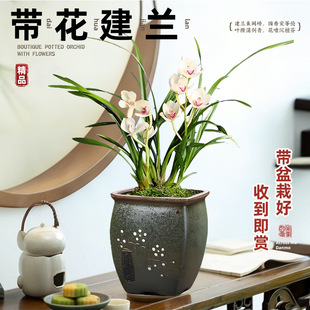 ���F�m�����Ԏ��������mϵ���҃��̨�Gֲ�����ͻ��ܾGֲ���B��