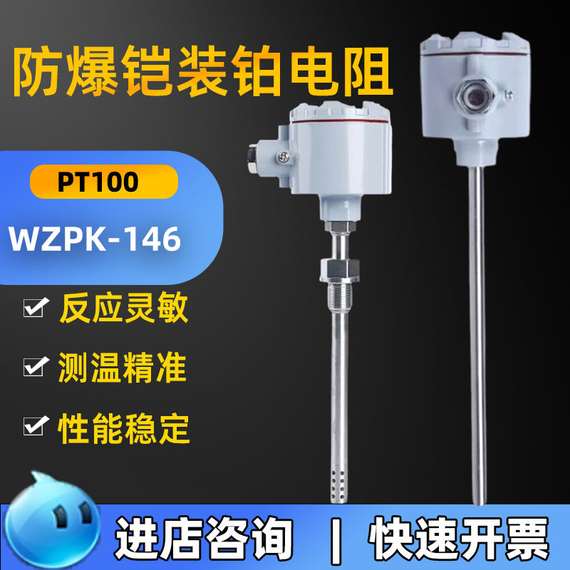 防爆热电阻Pt100温度传感器探头石油化工燃烧炉耐高温温度变送器