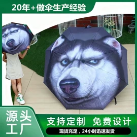 雨伞;晴雨伞;遮阳/太阳伞