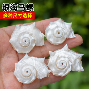 ����ؐ���ɹ⺣�R���y�ڈA���� �������Ʒ���ƷDIY������l