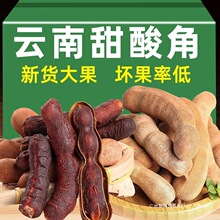 ���������خa���r��Ǵ������ᶹ���ЋD��ʳ�ᗗ���_���ӽ���