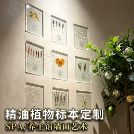 标本;树脂工艺品;工艺品加工