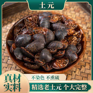 土元中药材中华土元虫土元粉土元干土鳖虫接骨正品节节虫地鳖虫-阿里巴巴