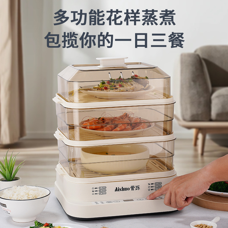 Wanlida 家庭用多機能大容量電気蒸し器調理アップグレードモデル 6 大型タッチボタン 12 機能|undefined