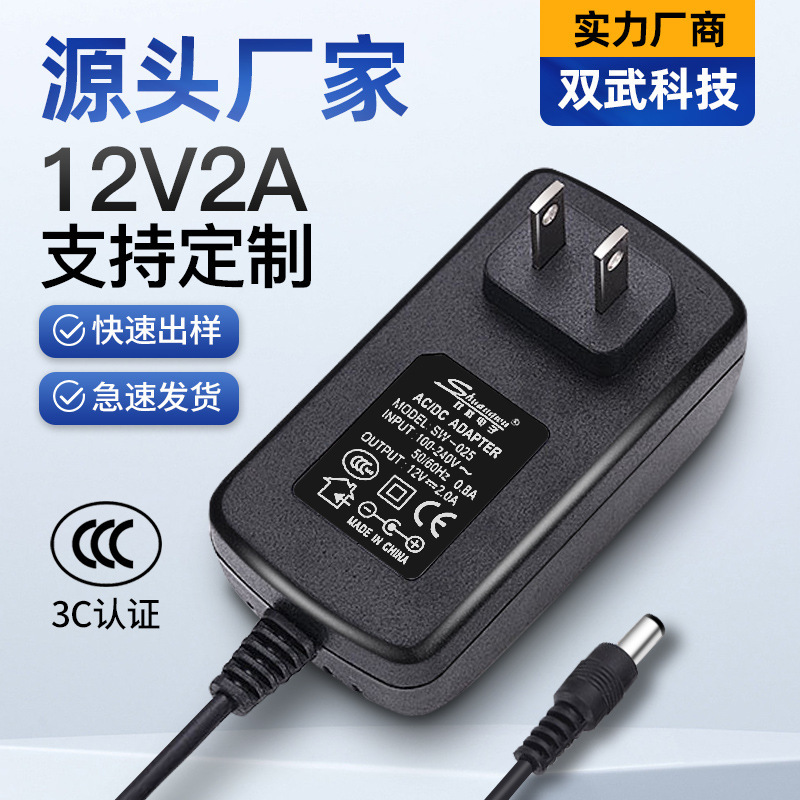 Wall -inserted 12V2A