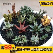 ʮ����Ӳ�~���J�C��꪿�ŭ������ϡȱ����ֲ��K���ϼ����T��̫��