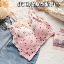 �����ɐیW����Ůkt؈����С�ؾ۔n����o�Ȧ���m�o��͸��������