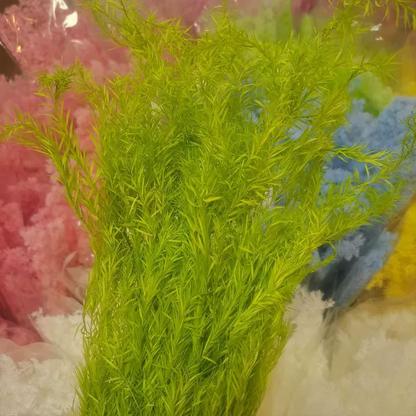 Yellow -green