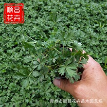 ���ع������~ί��˾G�����~ί��˾G�����̻����o�²����~ί���